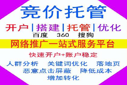 SEM公司成功案例分享：搜索引擎优化的力量
